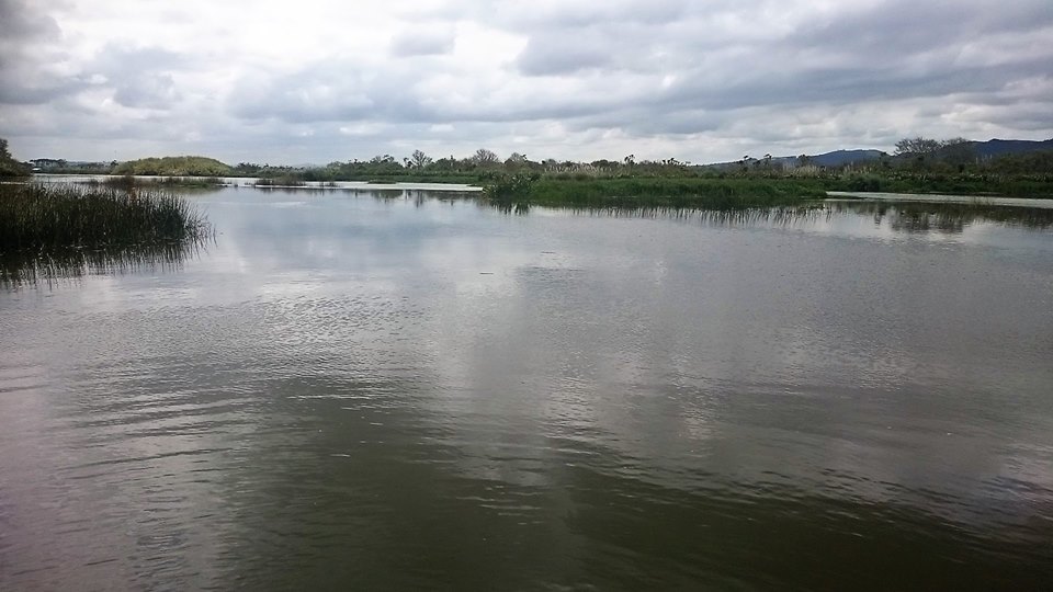 Waikato River at Hoods Landing