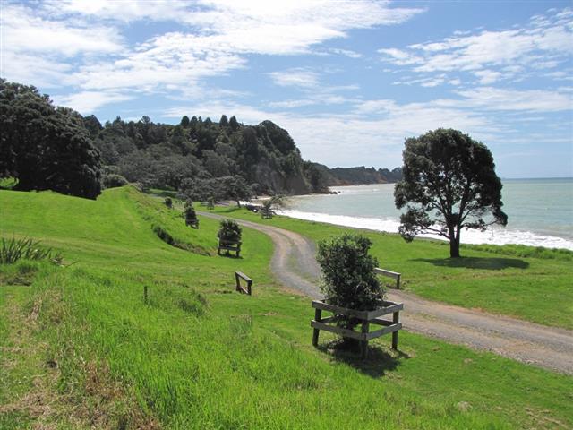 Tapapakanga Regional Park