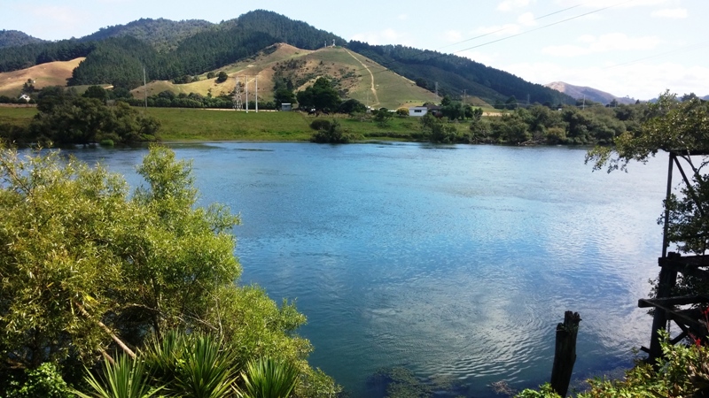 Hopin Stopin Cafe is right on the edge of the Waikato River