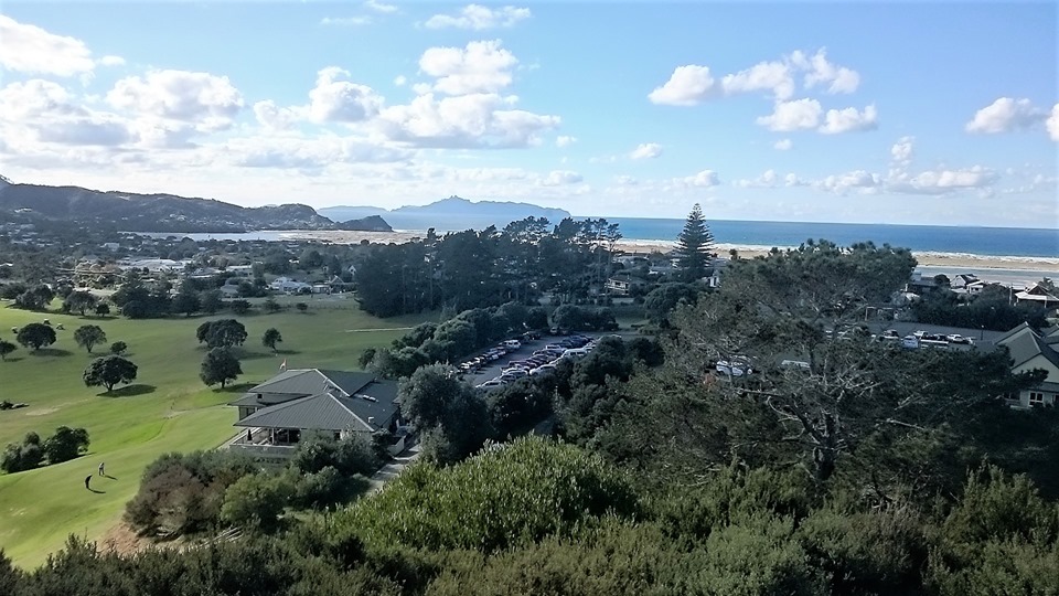 Marsden Cove marina