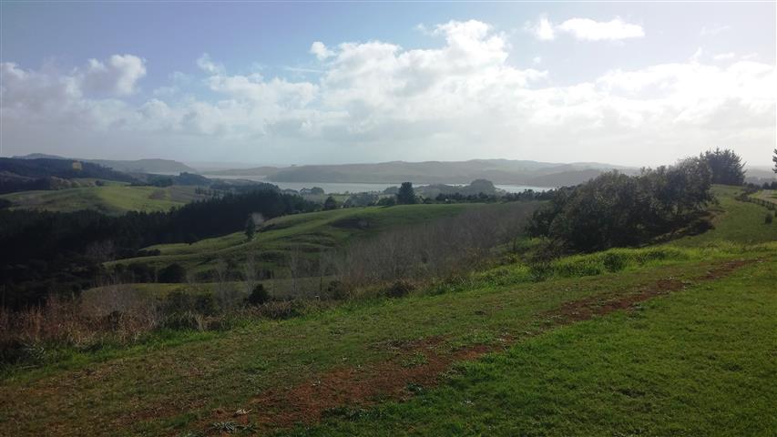 View from Atiu Creek