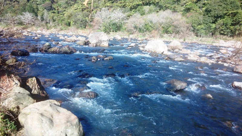 Karangahake Gorge