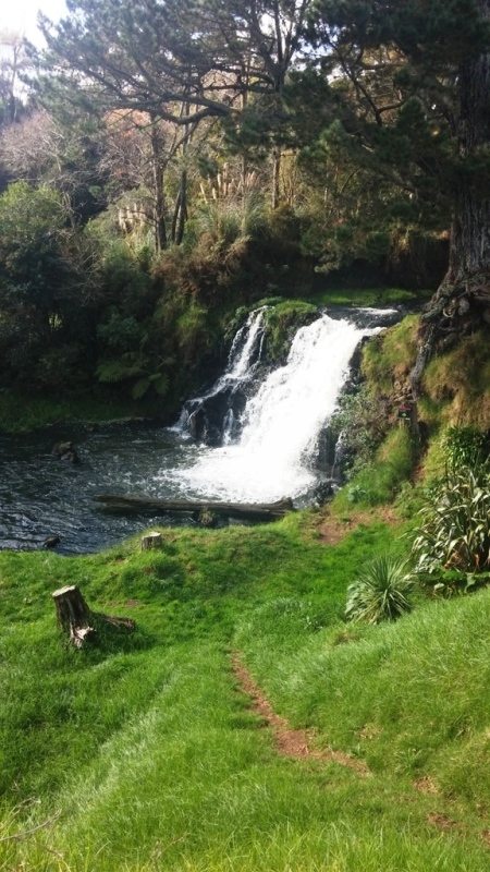 Waitangi Falls