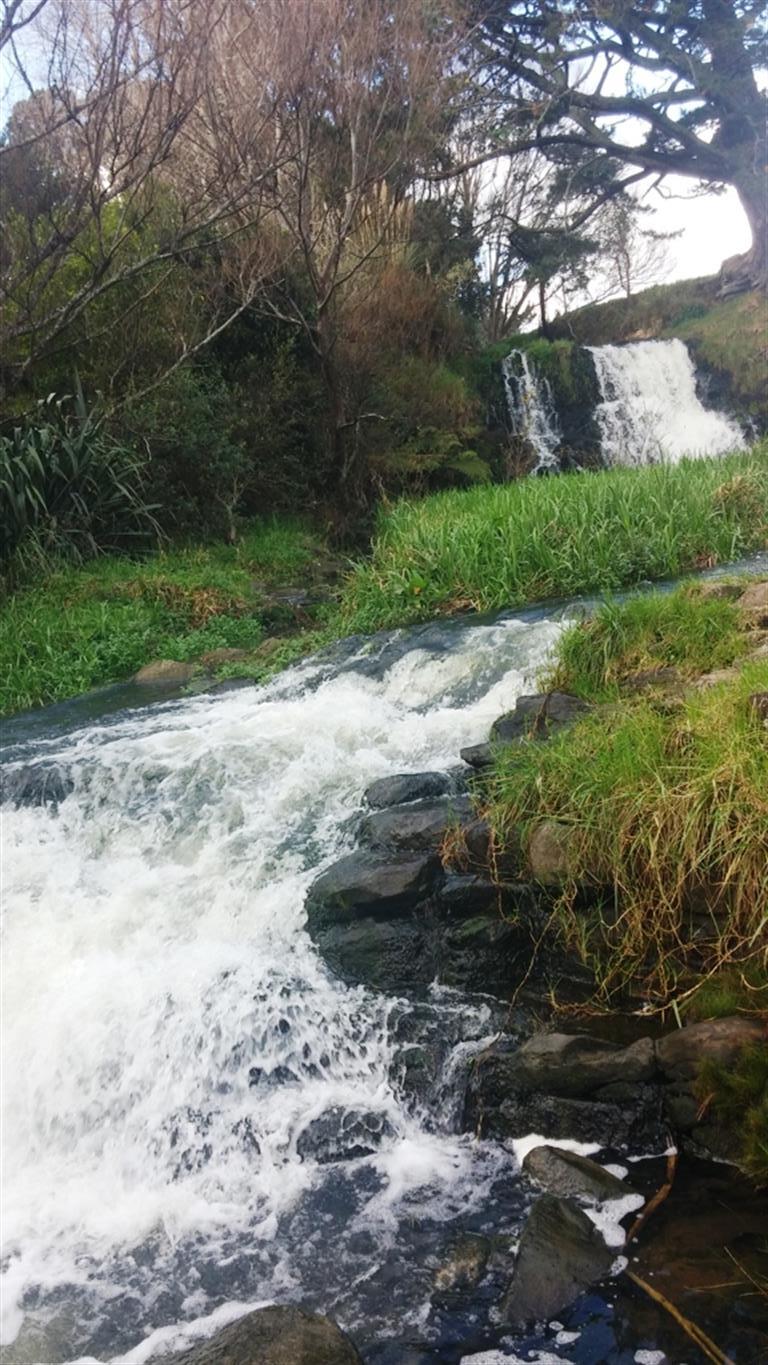 Waitangi Falls